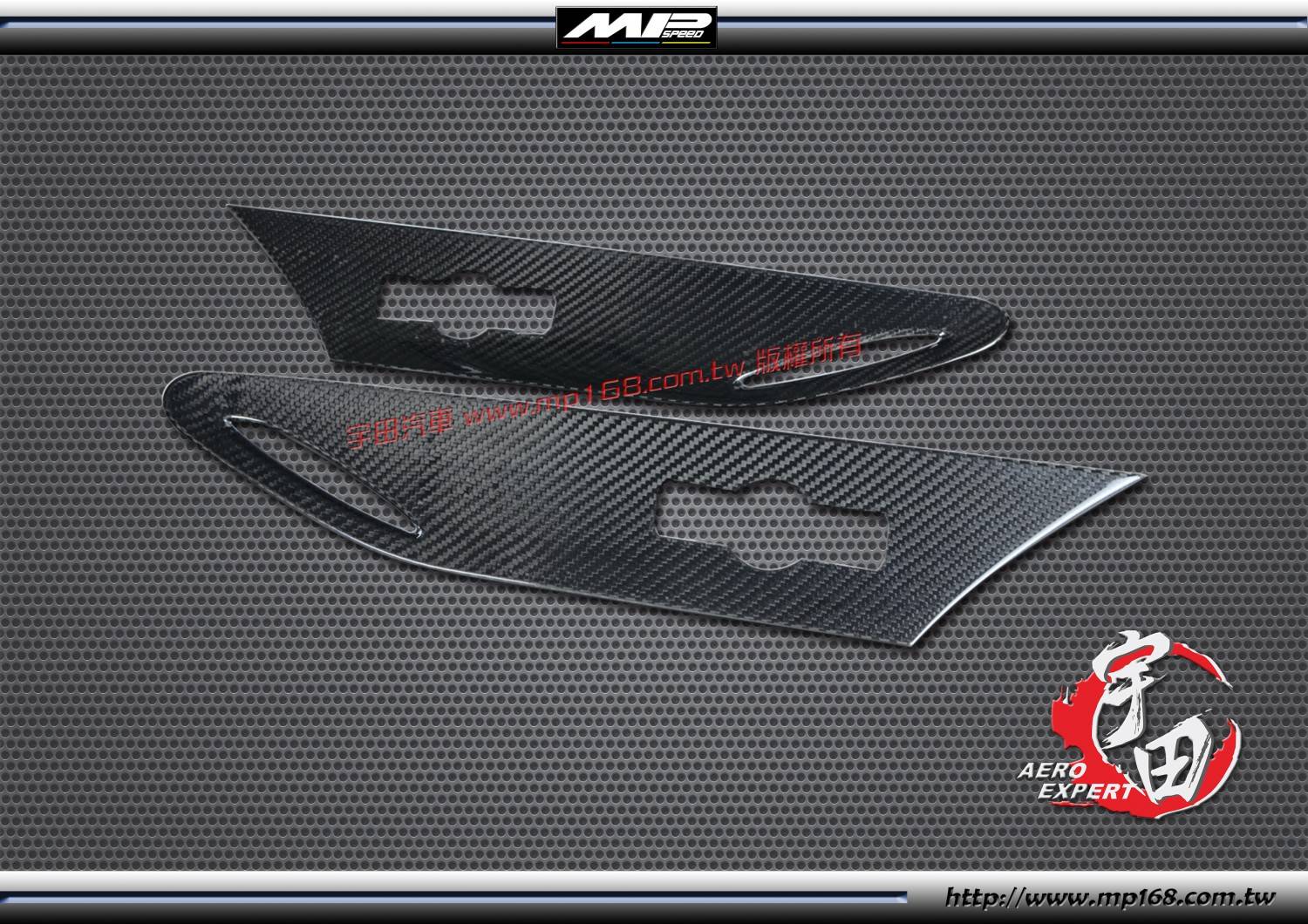 2012-2016 TOYOTA 豐田 86 SCION FRS 葉子板飾板-碳纖維熱壓卡夢 Dry Carbon